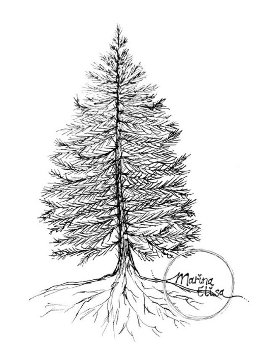 Kerstboom | Pentekening