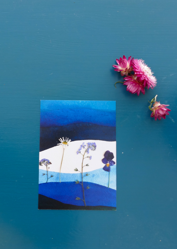 Blauwe viooltjes seizoenen geperste bloemen seizoenen zomer lente aquarel