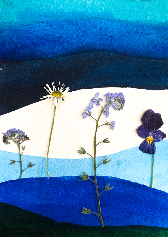 Blauwe vioolbloemen, geperste bloemen, blauwe aquarel, handgemaakte wenskaart