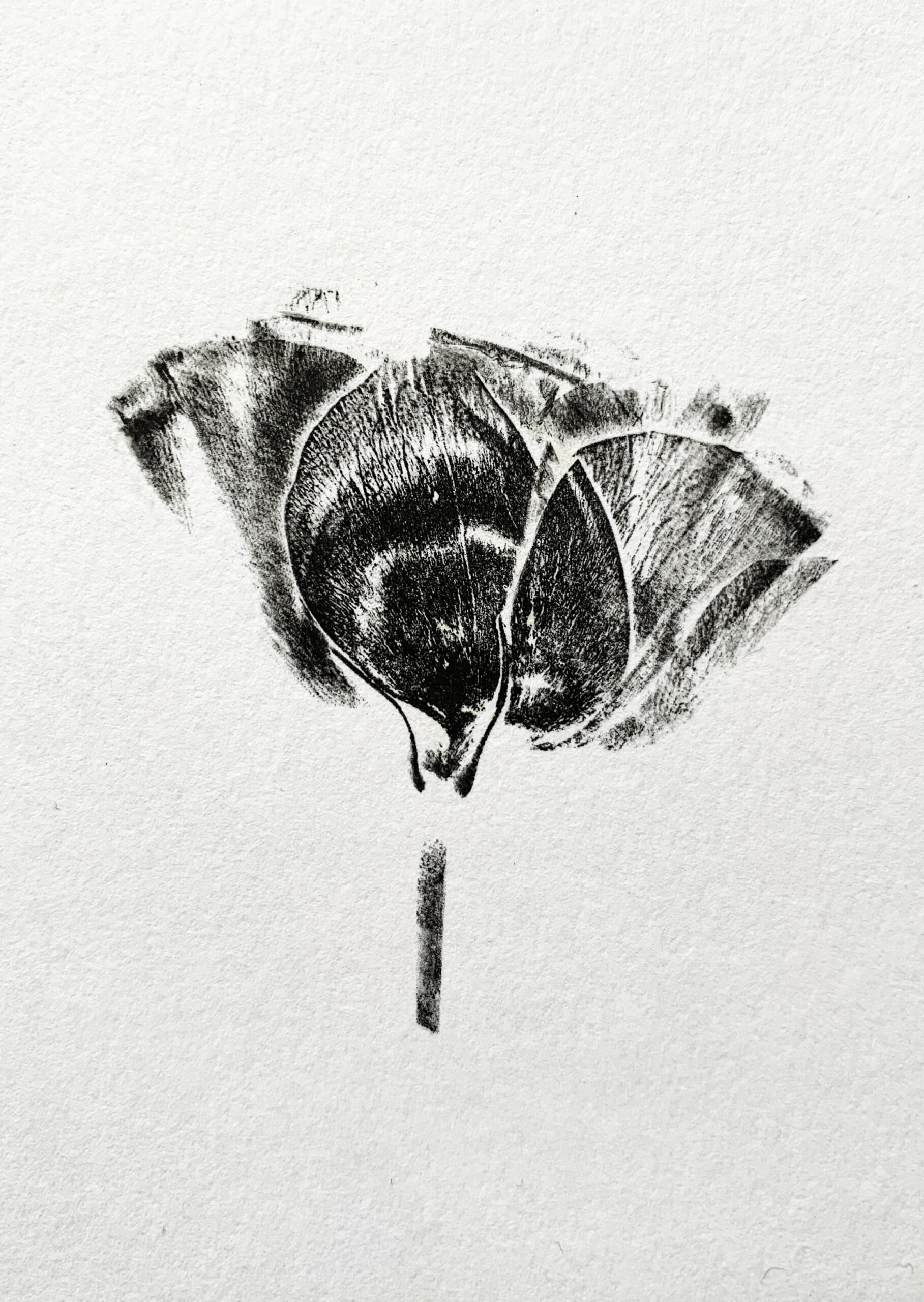 Tulp, monoprint, zwart wit, handgemaakt, wenskaart